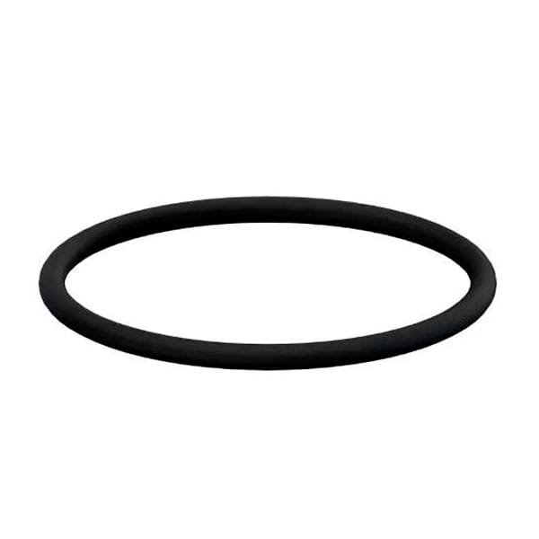 Anel de Borracha Esgoto 100mm Plastilit — Conexões