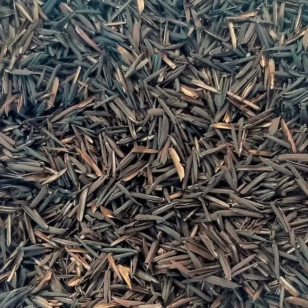 Casca de Arroz Carbonizada 300g Plante Life — imagem 2